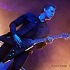 DarkTranquillity_01.jpg