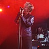 AnneClark_17.JPG