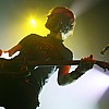 Livingston_29.JPG