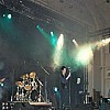 Golden Apes4.JPG