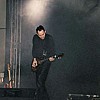 Golden Apes5.JPG