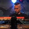 Golden Apes 03.JPG