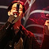 Golden Apes 15.JPG