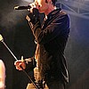Golden Apes 22.JPG