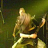 Naildown_01.jpg