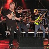 SevenThorns_03.JPG
