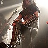carpathianforest13.jpg
