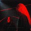 Equilibrium_12.JPG