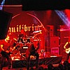 Equilibrium_6.JPG