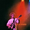 Parsley 7.JPG