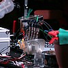 Das Synthetische Mischgewebe 7.JPG