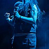 Agrimonia_08.jpg