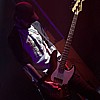 Agrimonia_35.jpg