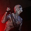 Primordial_37.JPG