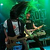 DustBolt_31.JPG