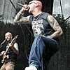 Gorerotted02.JPG