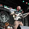 Gorerotted06.JPG