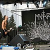 88 mantar.JPG