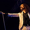 Turbowolf2018_14.jpg