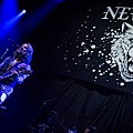 TheNewRoses2022_07.jpg