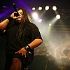 Exciter_29.JPG