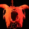 Gorilla Monsoon 1.JPG