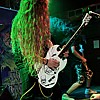 DustBolt_083.JPG