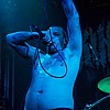 KingParrot25.jpg