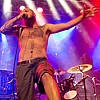 Shredhead_15.jpg