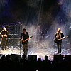 Disillusion_31.JPG