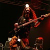 Psycroptic_05.JPG