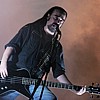 Carcass_01.JPG