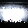 Carcass_97.JPG