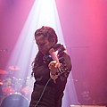 AForestOfStars_03.jpg