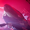 AForestOfStars_06.jpg