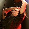 065Manegarm.jpg