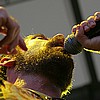 ArmoredSaint_23.JPG