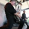 Anacrusis_36.JPG