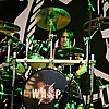 WASP_60.JPG