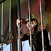 KingDiamond_08.JPG