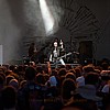 Carcass_13.jpg