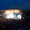 Carcass_56.jpg