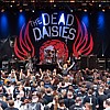 TheDeadDaisies_50.jpg