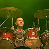 JayaTheCat_07.jpg