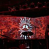 RedSparrows_03.JPG