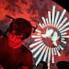 RedSparrows_49.JPG