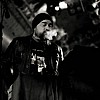 Ulver_19.JPG