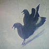 Ulver_02.jpg