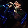 Ulver_14.jpg
