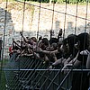 Impressions 28.JPG
